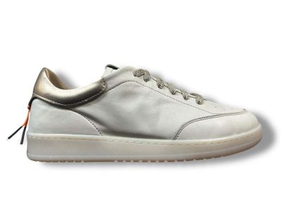 step sneakers donna nappa proder cream metallic gold 23889-36